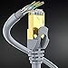 Cat 7 Ethernet Cable 100 ft - High-Speed Internet & Network LAN Patch Cable, RJ45 Connectors - 100ft / Gray - Perfect for Gaming, Streaming, and More