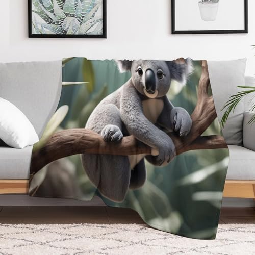 Manta para sofá Koala ideal para tardes frías de película 3
