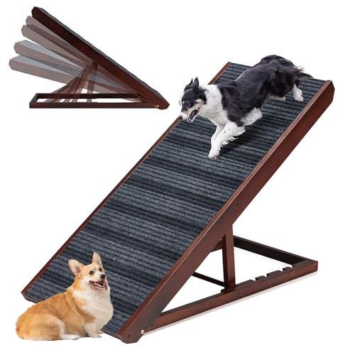 10 Best Dog Ramps For High Beds