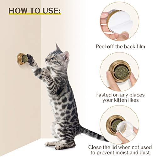 VILLCASE Bola de erva de gato, brinquedo giratório interativo de folha de hortelã natural pura, para