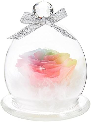 Amazon 北海道レインボーローズ専門店 フローラルbabydoll プリザーブドフラワーアレンジメント ガラスドーム 枯れない希望のお花 レインボーローズ キラキラガラスドーム プリザーブドフラワー オンライン通販