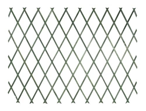 VERDELOOK Traliccio Estensibile in Legno, 100x200 cm, Verde, Decorazioni terrazza