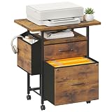 DUMOS 2 Drawer Mobile File Cabinet, Printer Stand with 24'' Wide Desktop