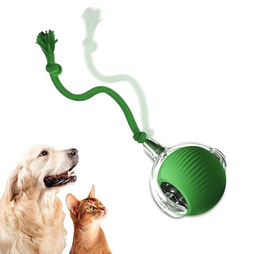 pets cat ball