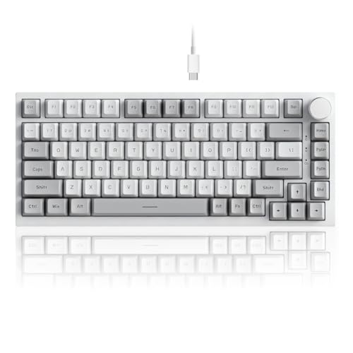 Image of AJAZZ AK820 Wired 75% Mechanical Keyboard, Red Switches, Hot-Swappable | 81key PBT Keycaps, White Backlit 20 modes, Metal Volume Knob, USB-C, Gasket Mount, 5-layer Foam, Dual Drivers Options, PC /Mac