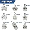 GoTags Stainless Steel Pet ID Tags, Personalized Dog Tags and Cat Tags, up to 8 Lines of Custom Text, Engraved on Both Sides, in Bone, Round, Heart, Bowtie and More (Bow Tie, Small (Pack of 1)) #1