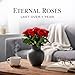 Eclore Floral Preserved Flowers – Forever Roses and Forever Flowers in Vase, Real Preserved Roses, Eternal Flowers, Gift for Mom or Girlfriend - Gift for Birthday Flowers for Delivery