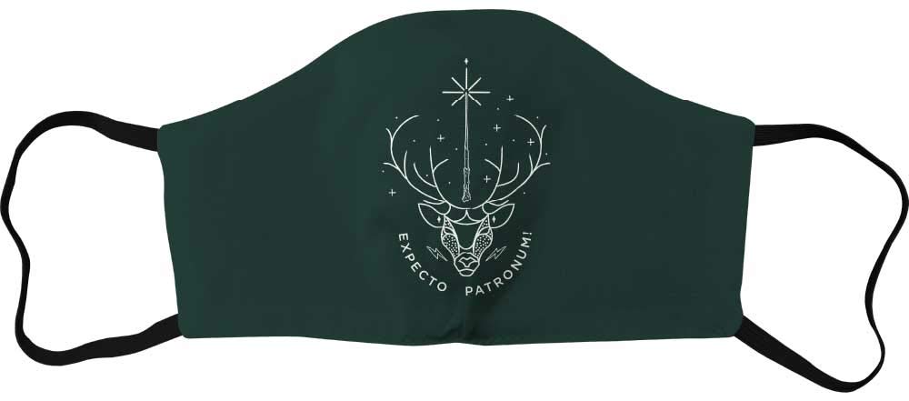Harry Potter Unisex Achapomms001_a Mask, Green, 1 Unit (Set of 1), Green, 1 stück (1er Pack)