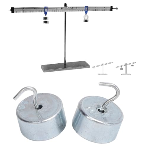 Tyenaza 2pcs 10g 10g Hook Weight Set, Lab Hook Weight Chrome Plated Steel Double Hooked Weight with Case for General Science Physics Laboratory Work