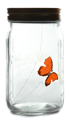 Elektronischer flatternder Schmetterling im Glas mit Verschluss - Täuschend echter Monarchfalter in orange Cover