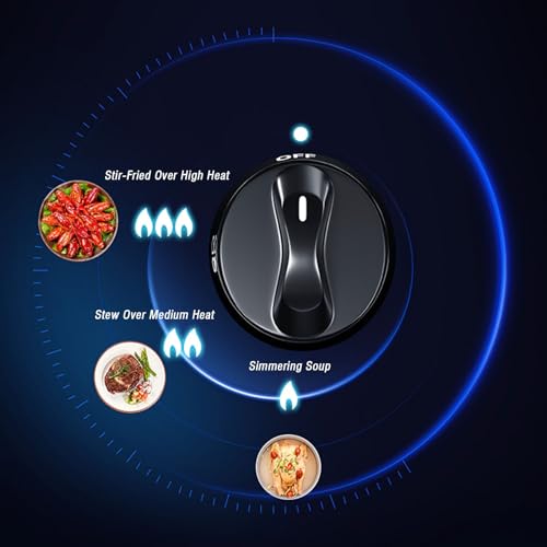 Portable Gas Stove,Cassette Stove,Max 17742.4BTU Single Burner Cassette Stove Piezo-Ceramic Ignition,for Camping Cooking Car Travel Home and Apartment (Color : LPG, Size : Style 2)