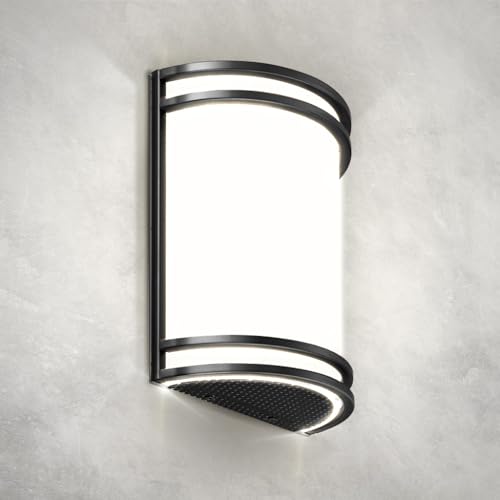 ASD LED Indoor Wall Mount Light Fixture - 10 Inch