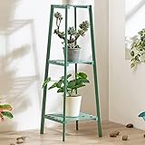 rack a tiers wire bender Store ornaments, green plants, and decorations to create your own secret garden.