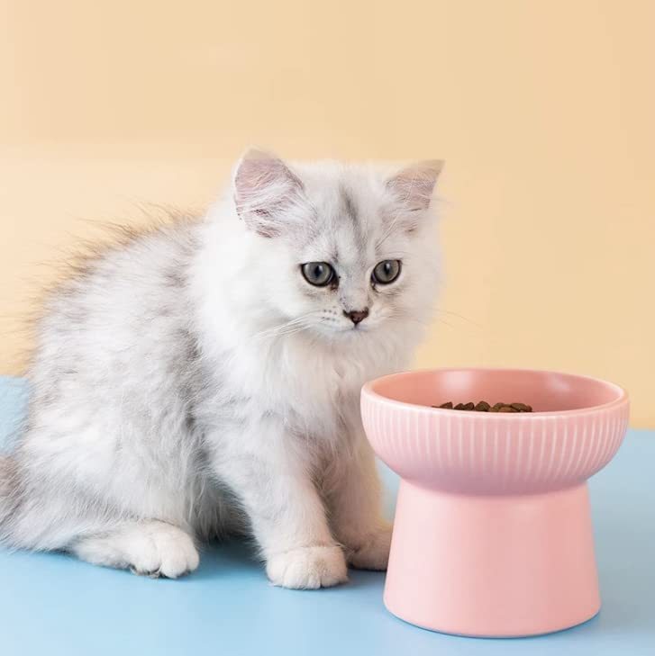 Image of PETANGEL 2 Pcs Ceramic Cat Food Or Water Bowl, Elevated Cat Feeder Dishes with Stand, Raised Pet Food Bowl for Cats and Small Dogs, Stress Free Backflow Prevention & Reduce Neck Burden