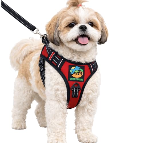 Image of Adjustable Padded Dog Harness with Leash | Comfortable Pet Walking Harness for Dogs | Red | XS | Suitable for Dogs 5-10 kg