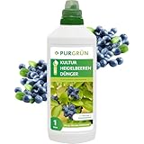 Purgrün