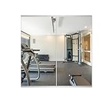 Delma Home Gym Mirror,48''x24''x2PCS Silver,Large Full Body Tempered Glass...