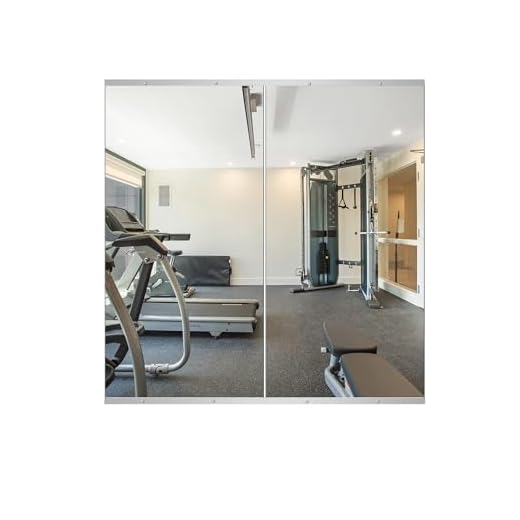 Delma Home Gym Mirror - 48''x24'' Frameless Wall Mirror (2PCS) for Yoga, Home Gym, Garage, Bedroom, Bathroom