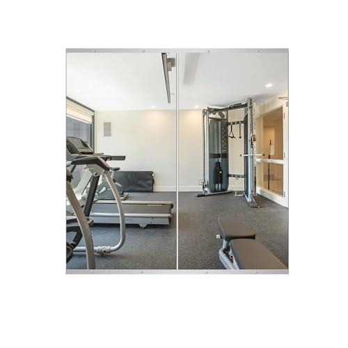 Delma Home Gym Mirror,48''x24''x2PCS Silver,Large Full Body Tempered Glass Frameless, Wall-Mounted for Gym, Yoga, Garage, Bedroom, Bathroom