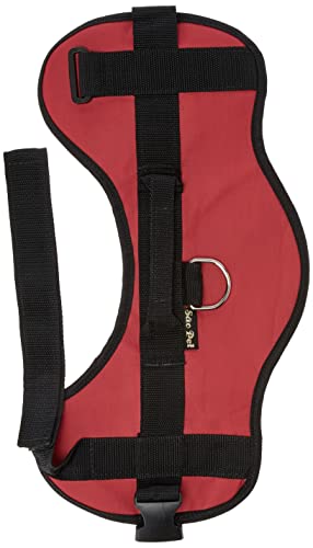 São Pet Mega Store TRITG6-14 Peitoral e Guia Triton Fêmea N6, Preto/Vermelho, 17 x 66 x 74-93 cm