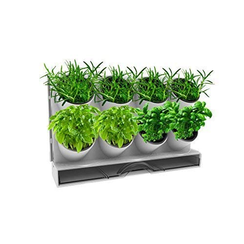 Watex Pixel Garden Desktop, Kitchen Farm, White #TOP3