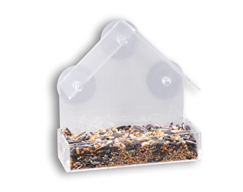 Gray Bunny Window Bird Feeder, Clear Premium Acrylic with Strong Suction Cups, Wide Seed Housing, Outdoor Birdfeeder for Attracting Wild Birds