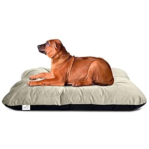 Pet’s BFF Rectangular Reversible Bed for Dog & Cat, Washable Velvet, Extra Large – 100 x 120 Cm, Black + Cream