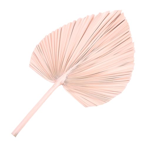 MUCKLILY Foglia Di Palma Secca Decorazione Ornamento Foglia Palma Essiccata Decorazione Foglie Piante Secche Accessorio Scena Foglie