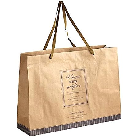 大特価 動物園 紙袋 中 1000枚入り クラフト紙製 おしゃれでかわいいペーパーバッグ 角底 在庫処分セール Espanol Arthritis Org