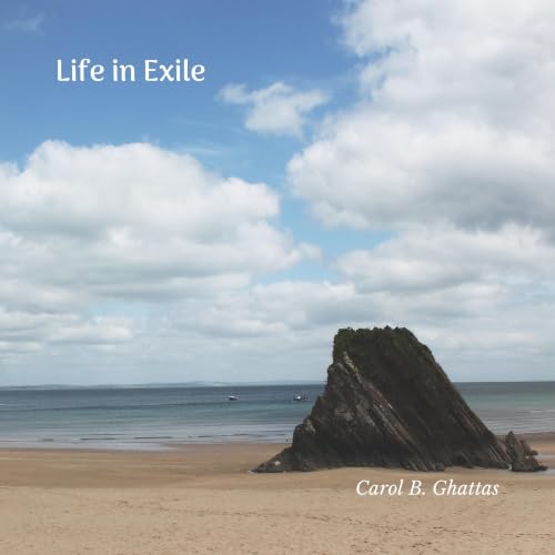 Life in Exile Titelbild