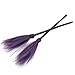 Didiseaon 2Pcs Halloween Witch Broom Plastic Witch Broomstick Broom Stick Witch Costume Broom Prom Outfit Halloween Cosplay Accessory Haunted House Decoration