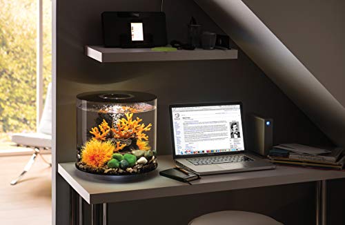 BiOrb 72062 Tube 15 leds, zwart, 15 liter, 360 graden decoratief aquarium, complete set van acrylglas met ledverlichting… - Afbeelding 3