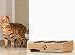 JUJOYBD Katzennapf 3er Set - Erhöhter Futternapf mit 3 Edelstahlnäpfen, 15° Neigung Ergonomische Futterstation für Katzen und kleine Hunde