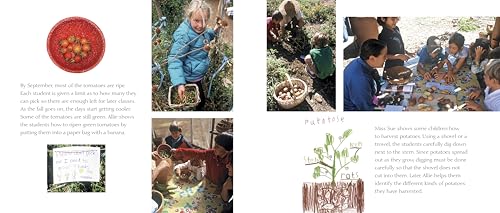 It's Our Garden: From Seeds to Harvest in a School Garden - Image 4