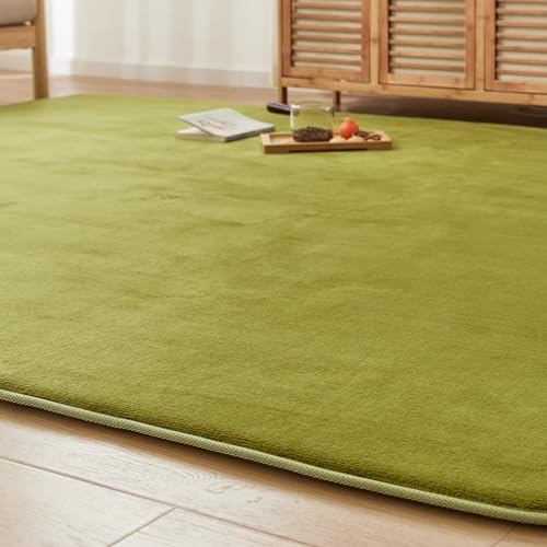 VK Ingeroom J[ybg O Ɍ25mm 3  O}bg h ~ߕt R hL h_j z ӂƎG荂 g[zbgJ[ybgΉ ~p k  ~}bg 200×250cm O[