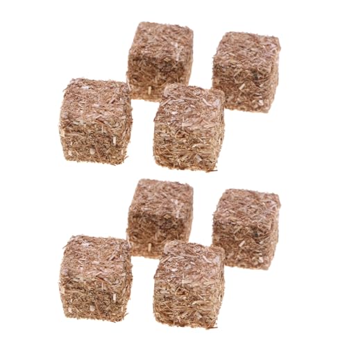 3. 12̖ؐUoh SȔ_ꂨANZT[ Wl̂Ntg qƑlp VR h[nEX wCY