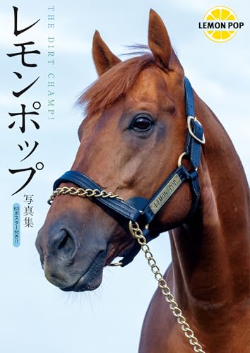 レモンポップ写真集 THE DIRT CHAMP!