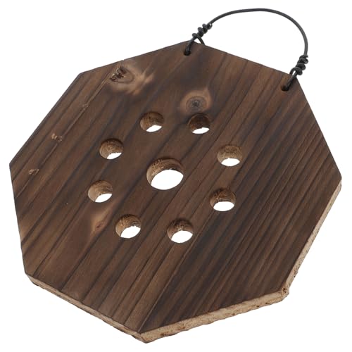 TOBBOMEY Hanging Planter Carbonisé pour Fougères Staghorn Support Vertical pour Plantes Intérieures pour Orchidees Platycerium Et Facile à Installer Et