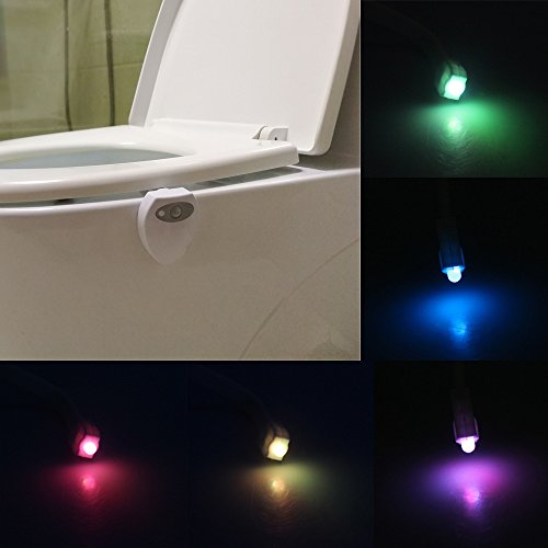 Toilet Night Light - Image 2