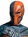 Rubie's mens Batman: Arkham City Deluxe Muscle Chest Deathstroke adult sized costumes, As Shown, Medium US