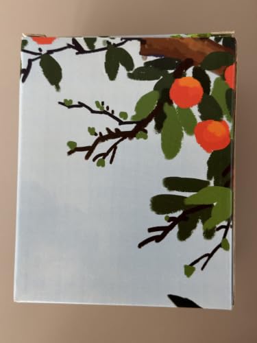 TTRWIN Duftkerze im Glas, Duft Orange, 200g Kerze, Natürlichem Sojawachs – Bild 4