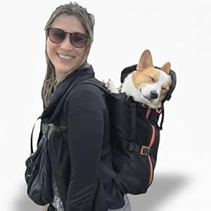 Maxine One Dog Backpack Carrier for Medium Dogs by Little Chonk | Adjustable & Ergonomic Front Facing Dog Carrier Backpack | Built to be Safer | Pet Backpack Carrier Featured in Wired Magazine – Black