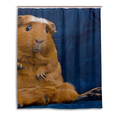 Shower Curtain, Bathroom Shower Funny Guinea Pig Curtains Fabric Waterproof for Bath Home Decor 60" x 72" Cover