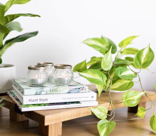 Kurrajong-Farmhouse-Fake-pothos-Plant-Fake-Plant-for-Shelf-Decor-14-Artificial-Trailing-Ivy-Plant-with-5-Wide-Ceramic-Pot-Light-Green-Faux-Ivy-Plant-Feaux-Ivy-Pothos-Plant Kurrajong Farmhouse Fake pothos Plant Fake Plant for Shelf Decor 14 Artificial Trailing Ivy Plant with 5 Wide Ceramic Pot Light Green Faux Ivy Plant Feaux Ivy Pothos Plant