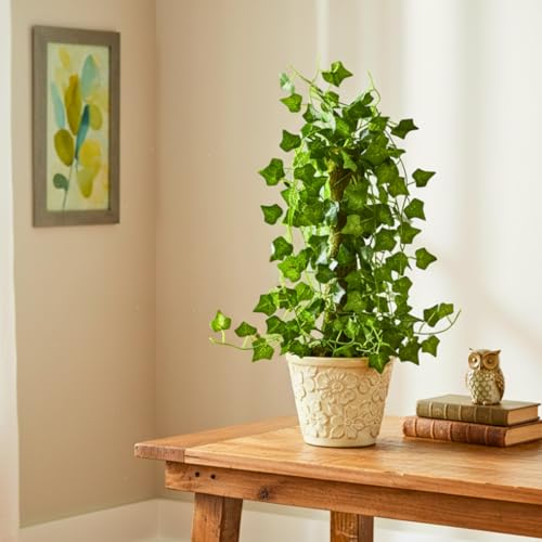 Image of fancymart Artificial Green Leaf Hanging Creeper on Moss Stick (Without Pot) - 60 cm Tall Hanging Creeper Plant for Indoor Home, Office, Restaurant & Cafe Decoration