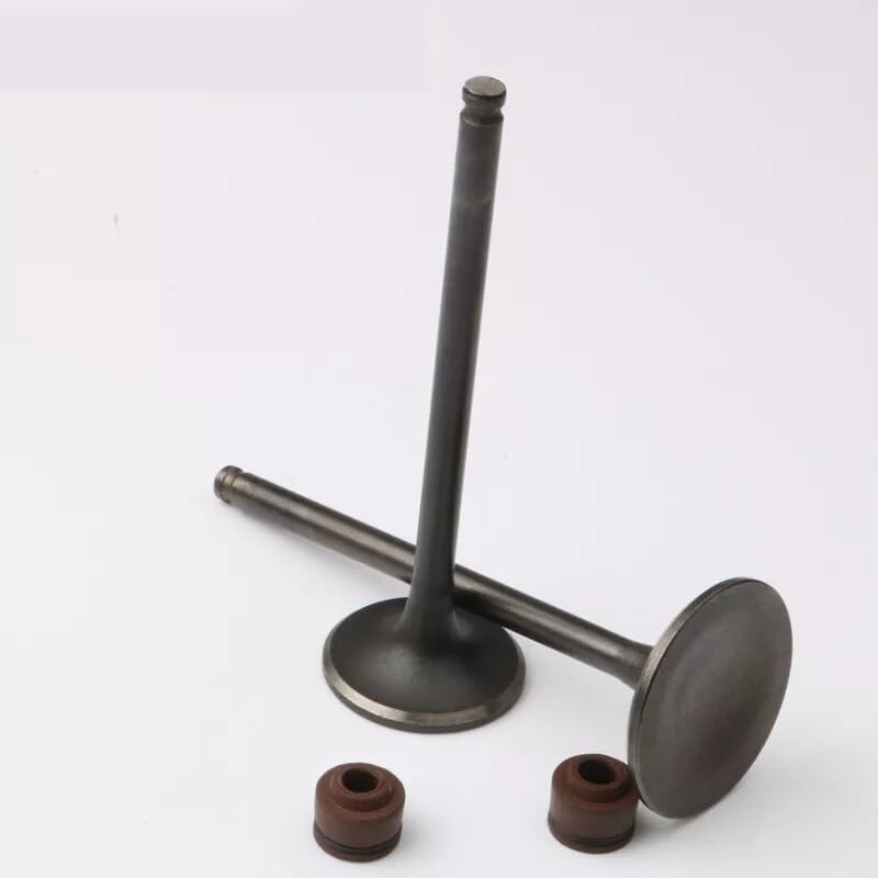 2PC 吸排気バルブ &amp; オイルシール H CBF 150 CBF150 GL150 14711-KSP-910 14721