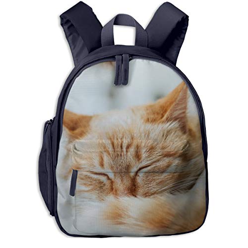 Preisvergleich Produktbild Kinderrucksack Kleinkind Jungen Mädchen Kindergartentasche Tiere Haustier Katze Schlaf Backpack Schultasche Rucksack