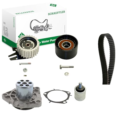 Réfrigérants moteur Ina 530 0619 30 pour système de refroidissement automobile