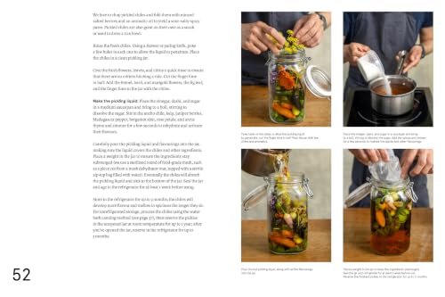 Image of The Noma Guide to Building Flavour: Including recipes and techniques for sauces, butters, broths, reductions, preserves, vinaigrettes, flavoured salts, and infused oils (Foundations of Flavor)