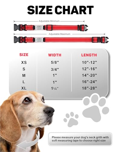 TagME Hundehalsband personalisiert, Reflektierendes gepolstertes Nylon Hundehalsband für mittelgroße Hunde mit Namen und Telefonnummer